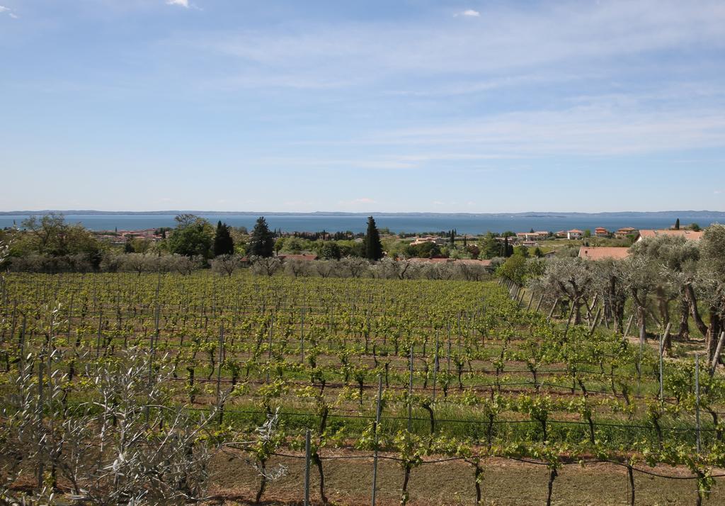 Appartamenti Bellavista 바르돌리노 외부 사진
